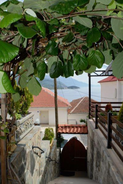 Villa Scandik Ohrid Bagian luar foto