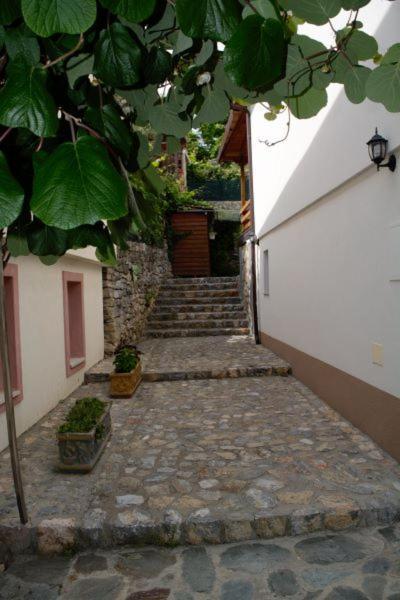 Villa Scandik Ohrid Bagian luar foto